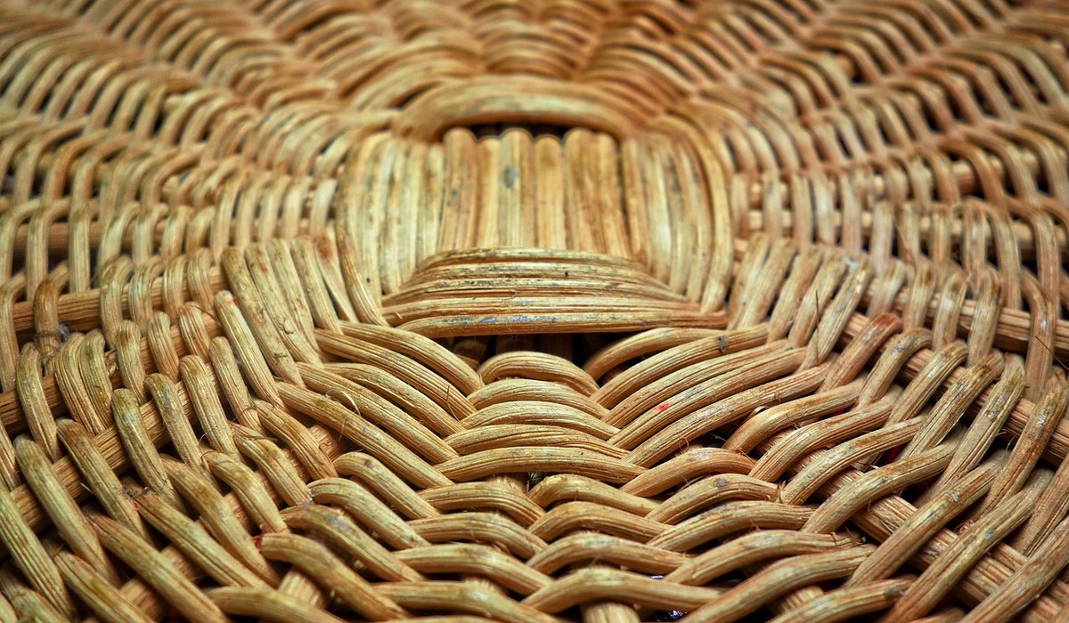 Weaving a simple willow basket for foraging